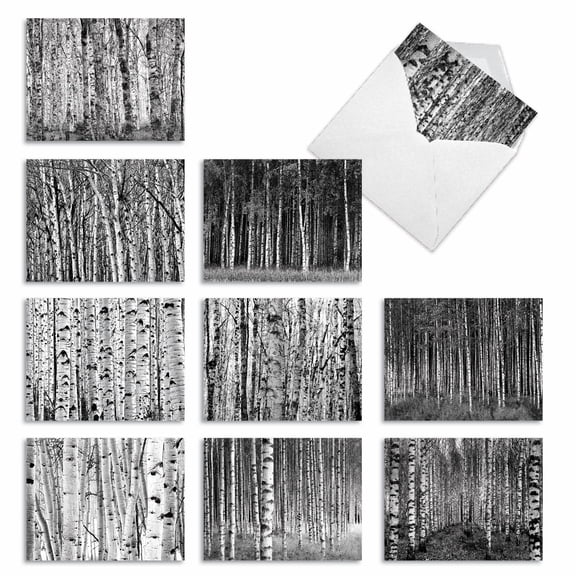 10 All Occasion Blank Note Cards Assorted (4 x 5.12 Inch) - WHITEWOODS M6451OCB