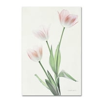 Trademark Fine Art 'Light and Bright Floral I' Canvas Art by Elizabeth Urquhart