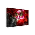 thumbnail image 4 of Trademark Fine Art Giovanni Cavalli Green Eyes And The Mask Canvas Wall Art, 4 of 4