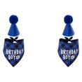 thumbnail image 2 of Conjunto de gorro y pañuelo de cumpleaños para perro Greeniant azul, 2 of 6