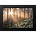 thumbnail image 2 of Lindsten, Christian 18x14 Black Modern Framed Museum Art Print Titled - Fog In The Forest With White Moss In The Forground, 2 of 5
