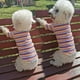 thumbnail image 4 of Ropa De Algodón Arcoíris Para Perros, Camiseta Para Mascotas De Otoño E Invierno, Suministros Encantadores Para Mascotas A La Moda matsuzay PT002321-04, 4 of 6