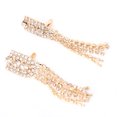 thumbnail image 1 of Diamantes de imitación Cristal Zapatos de tacón alto Encanto Borla Colgante Clip nupcial Accesorios para zapatos (#04), 1 of 8