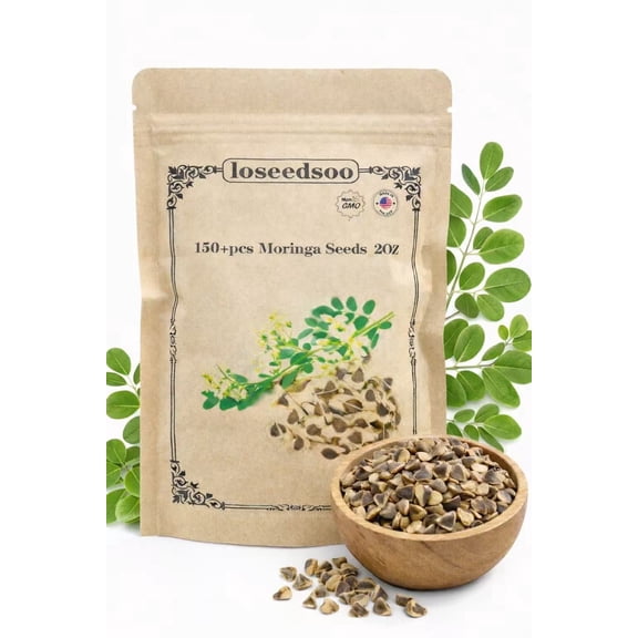 150 Moringa Seeds (Moringa Oleifera) – Fast Growing Tree Seeds for Planting, Warm Climate, Outdoor Garden Use