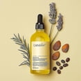 thumbnail image 2 of Aceite de coco, café verde y romero Tónico capilar Aceite esencial estimulante para la caída del cabello Nutrición del crecimiento del cabello Cuidado de los folículos pilosos del cuero cabelludo, 2 of 4