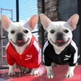 thumbnail image 3 of Baseball Dog Jacket Winter Dog Clothes for Small Medium Dogs Puppy Pet Vest French Bulldog Sweatshirt Chihuahua Costume Pug Coat ShopWise Round, 3 of 9