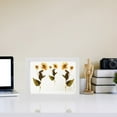 thumbnail image 3 of HLONK Double-sided Specimen Display Frame Glass Dried Flower Holder Frame Picture Frame, 3 of 6