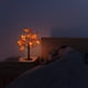 thumbnail image 4 of Maple Tree With Red Fruit Lights LED Christmas Party Home Decorations Indoor Thanksgiving Event Lighting Tree., 4 of 6