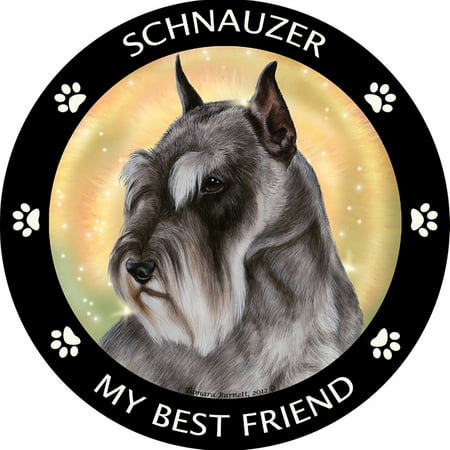 Schnauzer Cropped My Best Friend Dog Breed Magnet (Best Food For Schnauzers)