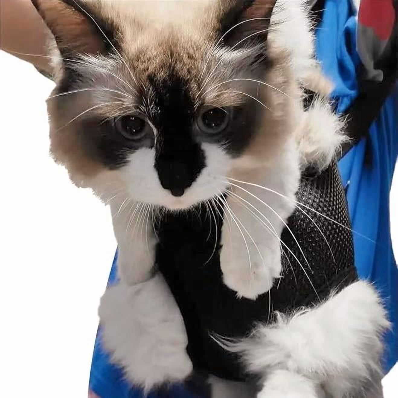 Taotanxi Dog Carrier Backpack, Adjustable Dog Pet Cat Front Carrier Backpack | Ventilated Dog Chest Carrier for Hiking Camping Travel, for Small Medium Dog Cat Puppies, Large, 12-16 lbs, Navy