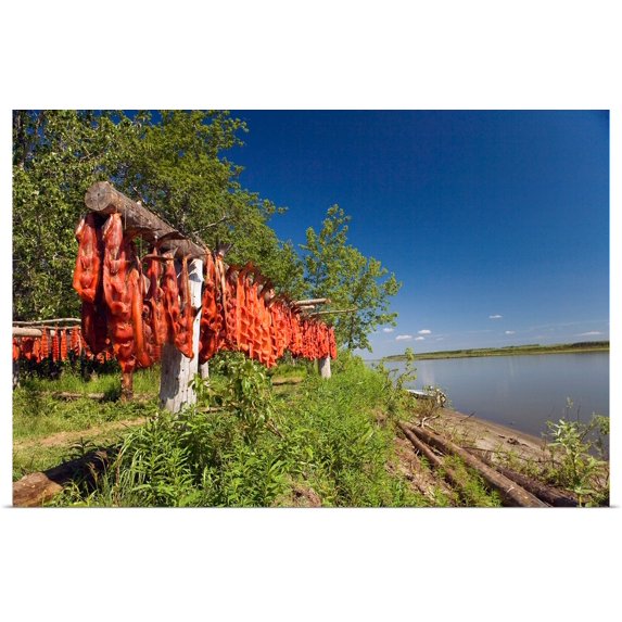 Great BIG Canvas | "Red Salmon hang on drying rack along Kuskokwim River shoreline" Art Print - 36x24