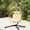 Brown + Beige, variant on Uforic Egg Hanging Chair with Stand, Wicker Swing Chair for Patio Garden, Beige, 330lbs