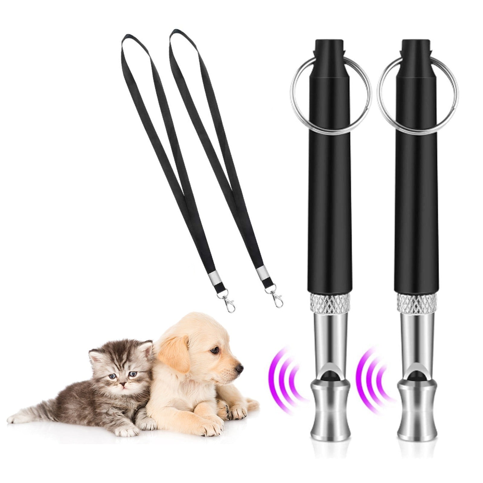 Can You Train A Cat With A Dog Whistle