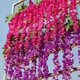 thumbnail image 2 of Seda Artificial Glicinas de Seda de Ratta de Vid Decoracion de Boda Colgante de Flores, 12 Piezas, (), 2 of 5