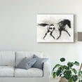 thumbnail image 3 of Trademark Fine Art 'Rustic Appaloosa I' Canvas Art by Ethan Harper, 3 of 4