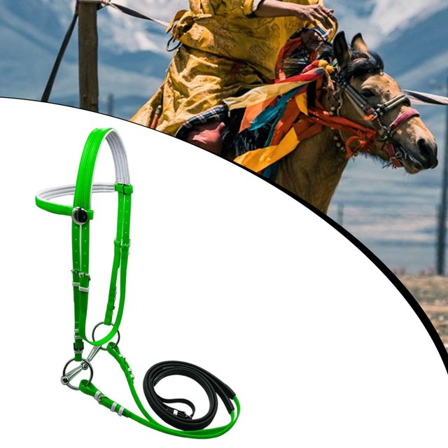 DYNWAVECA Horse Bridle with Rein Halter Headcollar Leadrope Horse Riding Rope Poll Strap for Lesson Course Path Dressage Arena Training 135mm