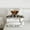 Grey Brown, variant on Castle Fairy Teens Women Men Brown Highland Bull 3-Piece Full Size Comforter Sets,Rustic Farmhouse Cabin Bedding Comforter Set,Retro Vintage Lightweight Bedding Sets,Luxury Bedroom Decor