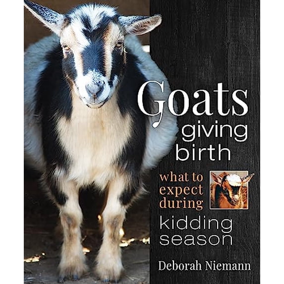 Pre-Owned Goats Giving Birth: What to Expect During Kidding Season (Paperback) 086571942X 9780865719422