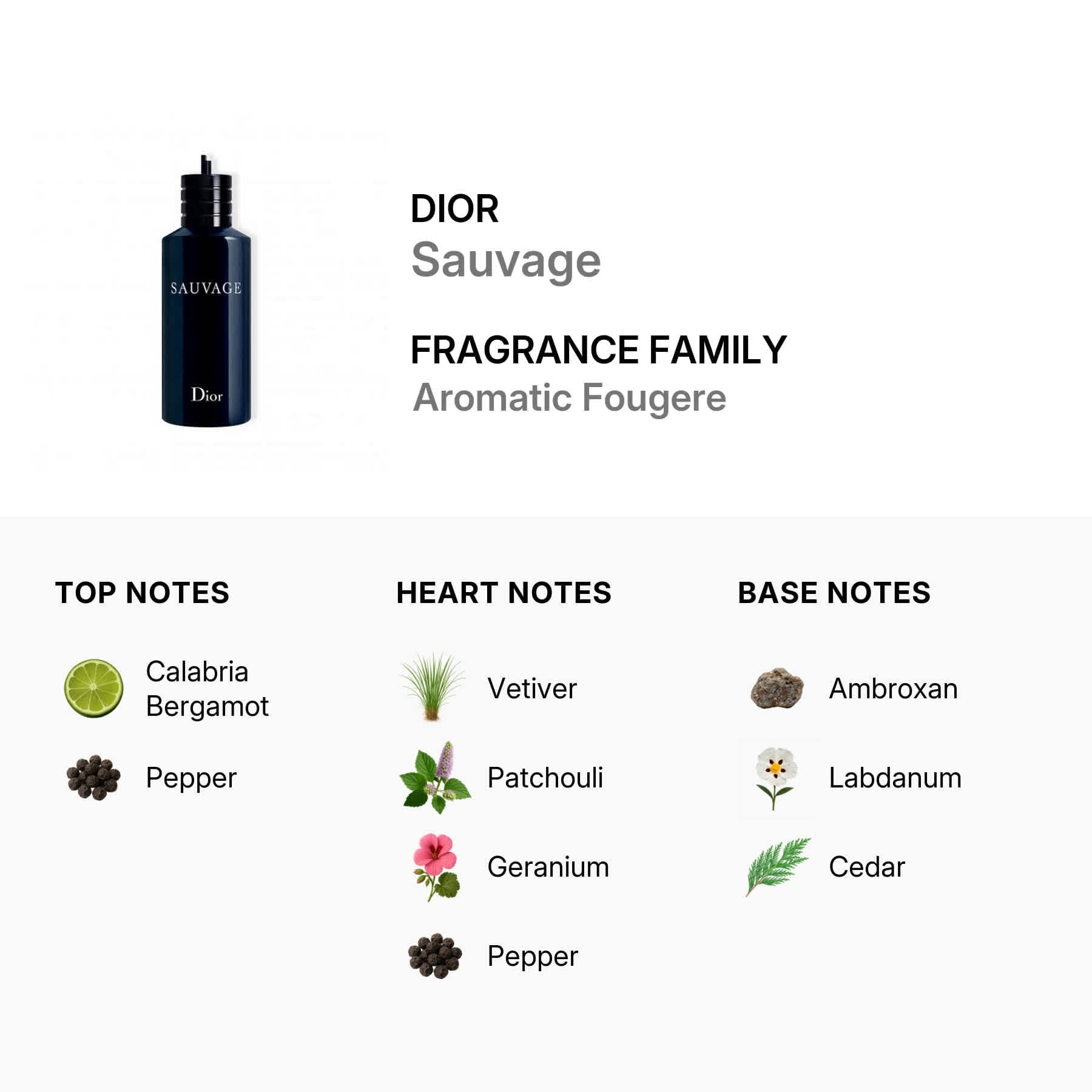 Dior, Men's Perfume, Sauvage EDT 10.1 oz Refill, Aromatic Fougere