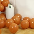 thumbnail image 3 of BalsaCircle 50 Caramel 12 in Round Matte Pastel Latex Biodegradable Balloons Wedding Reception Events Birthday Party Decorations Supplies, 3 of 8