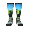 thumbnail image 2 of Lsque Bluey Printed Crew Socks Men's Women's LightWeight Thin Casual Calf Socks ,Knee High Socks,Cotton Socks, 2 of 9