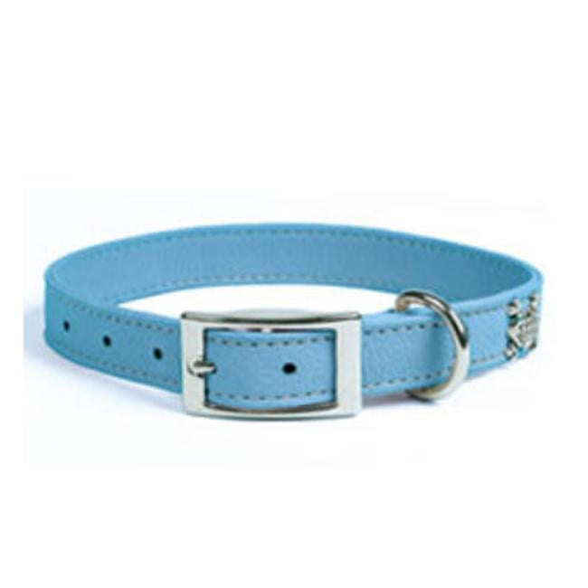 blue leather collar