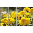 thumbnail image 2 of Bright Yellow Marigold Flowers - Floral Canvas Art Print, 2 of 3