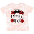 thumbnail image 3 of Inktastic Ladybug Hugs Cute Pair of Ladybugs Boys or Girls Toddler T-Shirt, 3 of 5