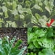 thumbnail image 3 of Red de jardín - 2,5 x 10 m Malla fina antiinsectos Plantas Frutas Flores Cultivos Plagas, 3 of 5