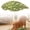 Style C, variant on Premium Natural Sisal Botanical Leaf Cat Scratcher Mat, Extra Large Leaf-Shaped for Wall & Floor, Indoor Jungle Decor, Furniture Protector, Durable Cat Scratcher with Stylish Leaf Design(Begonia)