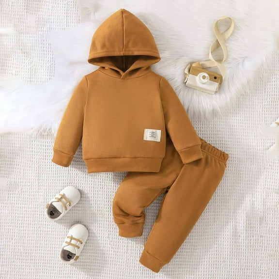 Hicidod Baby Outfit Fall Winter Fashion Solid Color Casual Toddler Sweatsuit Long Sleeve Hoodie Sweatshirt And Sweatpants Set