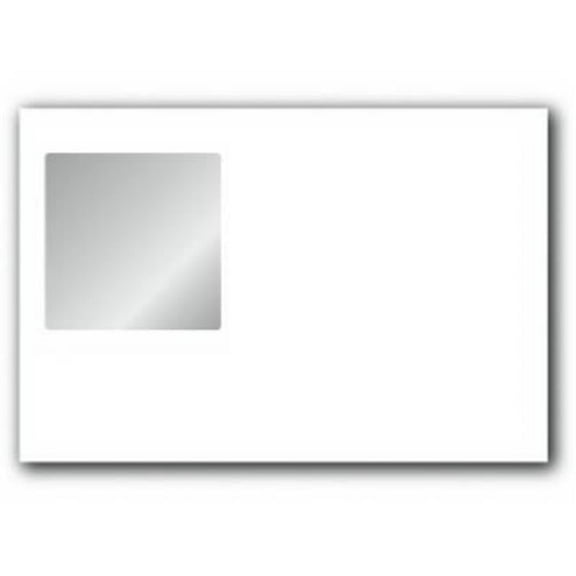 RS 8001 6 x 9 in. Window Envelope - White, 500 Ct.