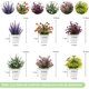 thumbnail image 2 of 6 Pcs Plantas Artificiales, Flores Artificiales, Plantas Artificiales Decorativas, Plantas en Macetas para Decoración del Hogar, Interior, Oficina, Escritorio, Habitación, Granja, Multicolor, 2 of 4