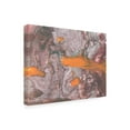 thumbnail image 2 of Lana Korolievskaia 'Orange Fish' Canvas Art, 2 of 3