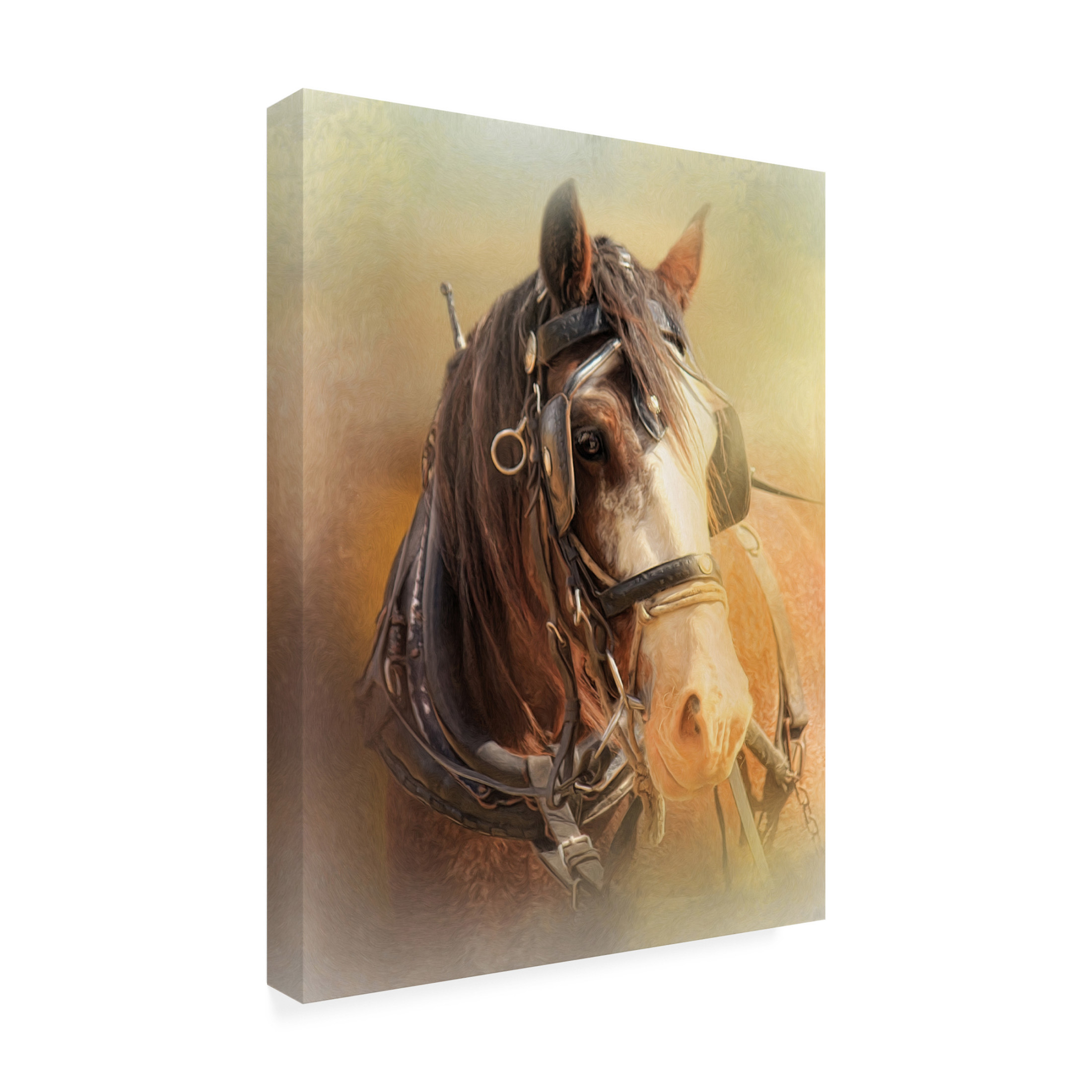 Canvas Wall Art - Trudi Simmonds 'Days in the Sun' Wall Art for Living Room, Bedroom, or Office Décor by Trademark Fine Art - 14 x 19 Inches