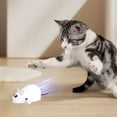 thumbnail image 4 of Qonioi Wind Up Cat Toy Mouse, Clockwork Flocking Mouse Toy for Cats, Mechanical Prey Simulation Toy for Indoor Cats to Relieve Boredom and Anxiety, 4 of 6
