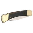 Buck Knives 110 Folding Hunter Lock Back Knife