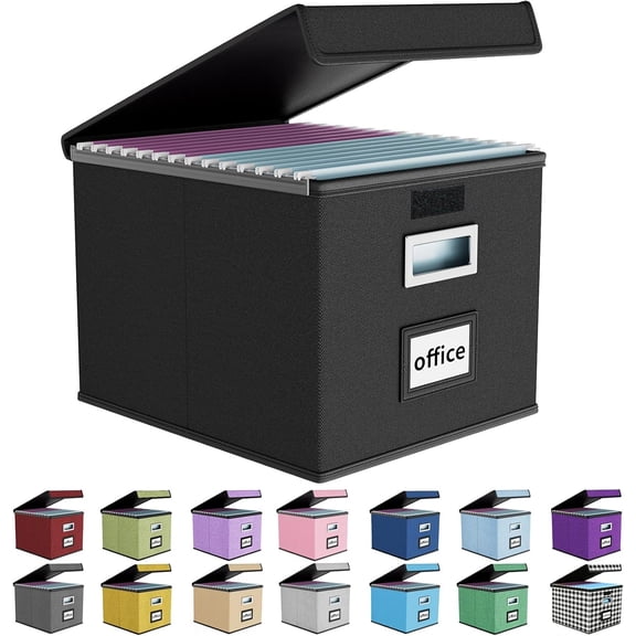 File Organizer Box with Lid, Collapsible Folder for Office Document Storage, Filing Plastic Slide Letter Size Hanging Folders(1 Pack, Black)