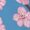Orchids Flowers2, variant on Xecao Hand Drawn Strawberry print women's scoop neck, loose-fit workout tank tops for the gym.