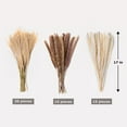 thumbnail image 2 of GRNSHTS 60Pcs Nature Dried Pampas Grass Decor Tall Pompous Grass,White Pampas Grass Vase Flower Arrangement,Dried Flower Bouquet Wedding Home Decorations, 2 of 7