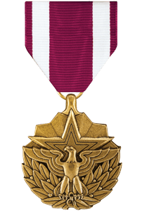 Meritorious Service Medal (MSM) Full Size