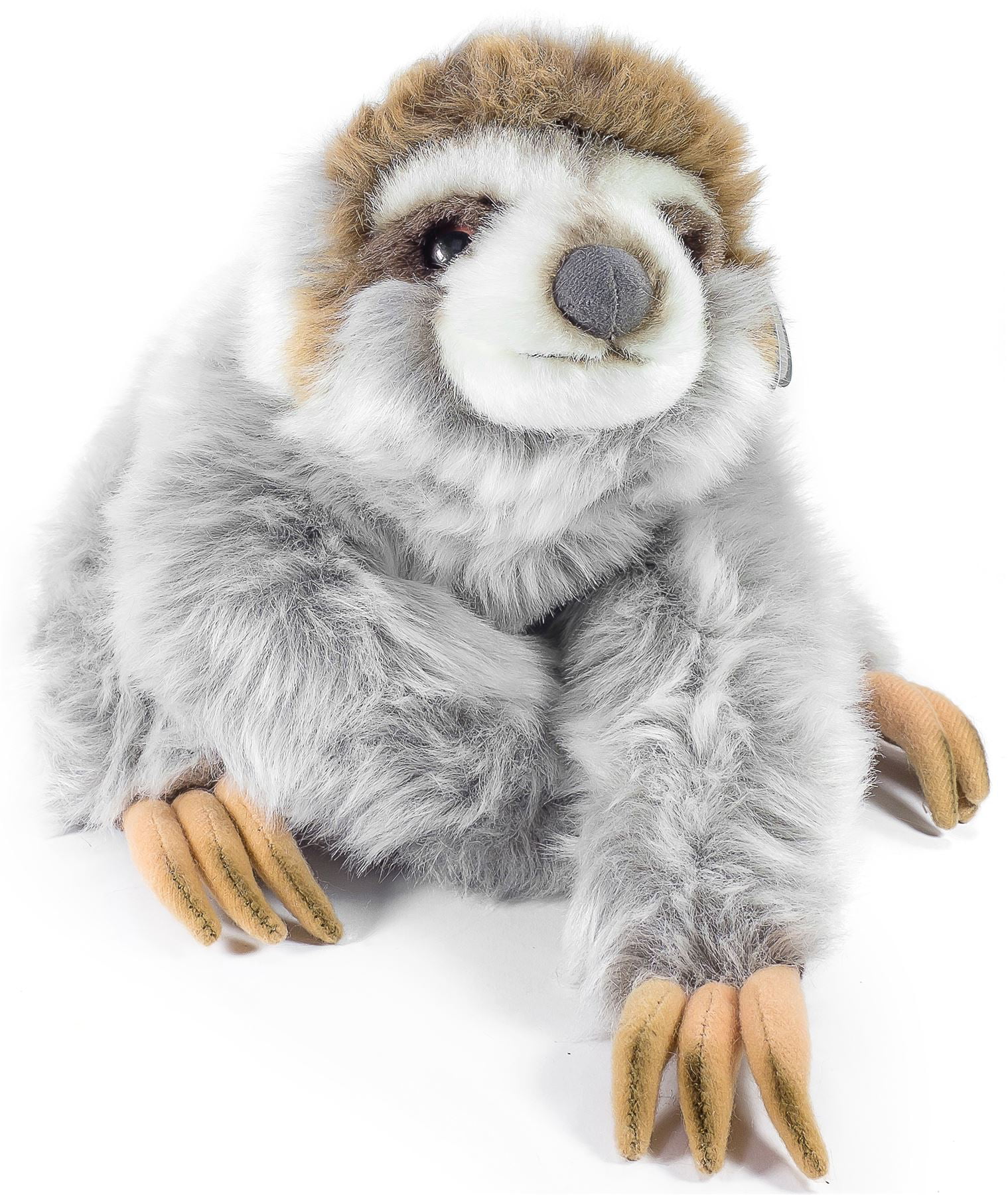sloth stuff