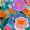 Color 2, variant on Boho Floral Peel and Stick Wallpaper 23.6in x 9.8ft Vibrant Floral Colorful Bold Hues Contact Paper Vinyl Waterproof Self Adhesive Wall Paper for Bedroom Shelf Cabinet Renter Friendly