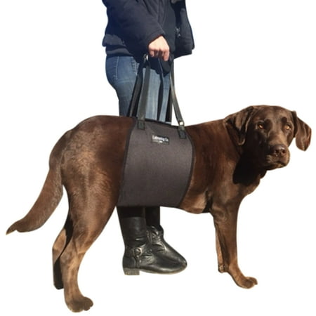 UPC: 0045923798627 | Labra Veterinarian Approved Dog Canine K9 Sling Lift Adjustable Straps Support Harness Helps with Loss of Stability Caused by Joint Injuries and Arthritis ACL Rehabilitation Rehab