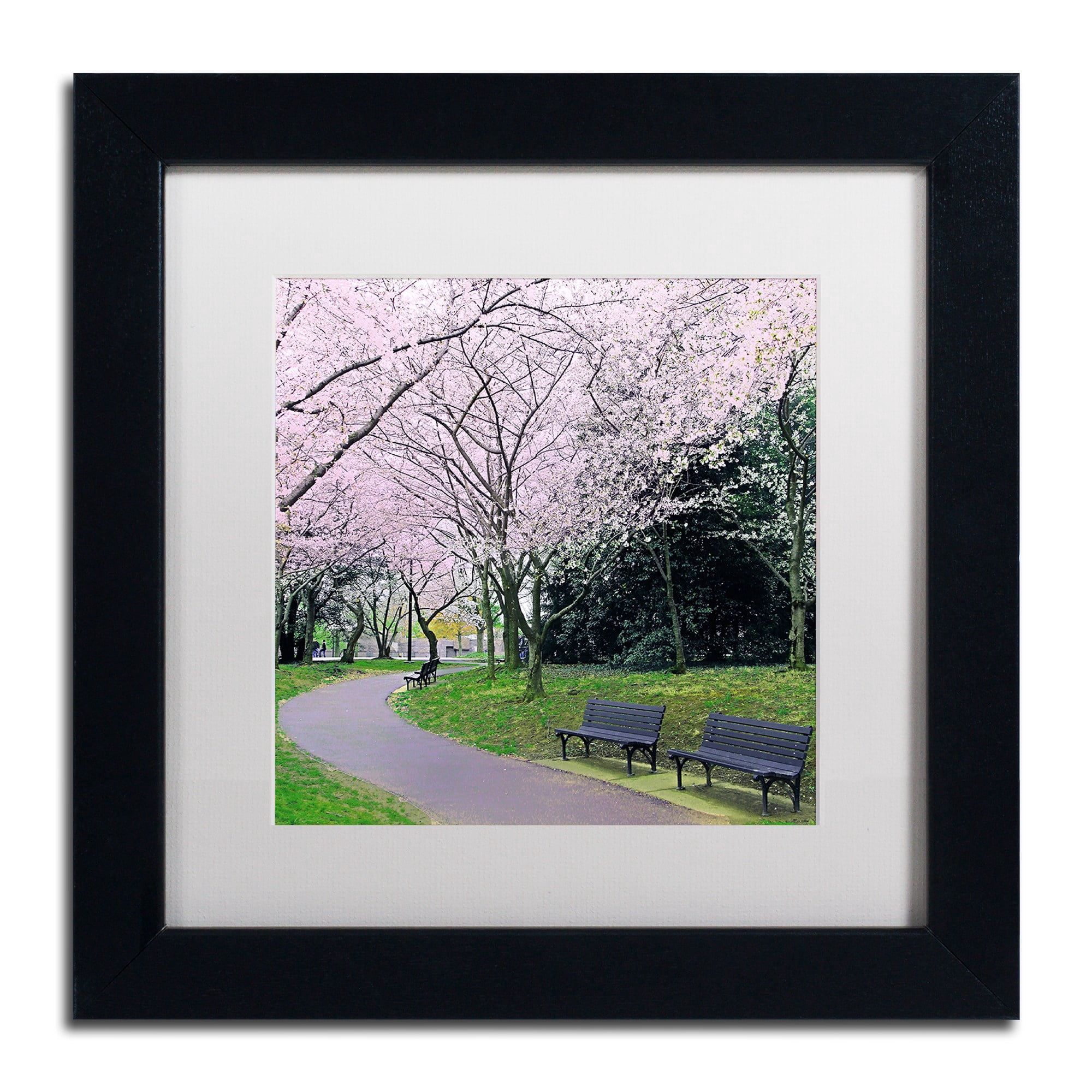 Trademark Fine Art "Spring Path" Canvas Art by CATeyes, White Matte, Black Frame
