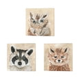 thumbnail image 1 of Great Art Now Freckles the Fox, Willow the Owl & Roxie the Raccoon by Cindy Jacobs 3 Piece Canvas Art Set Each 14"W x 14"H, 1 of 4