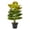C, variant on Tuscom Artificial Potted Plant 23.6 Inch Fake Tropical Monstera in Pot, Realistic PVC Faux Houseplant for Home Office Desk Shelf Living Room Kitchen Decor