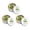 3pcs, variant on Whimsical Plastic Pocket Frog Figurine 3.35 Inch Cute Green Miniature Animal Decor Accent with Tin Container for Office Desk Tabletop Ornament