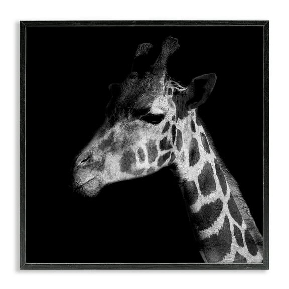 Stupell Industries Jungle Giraffe Portrait Animals Photography Black Framed Art Print Wall Art, 12 x 12