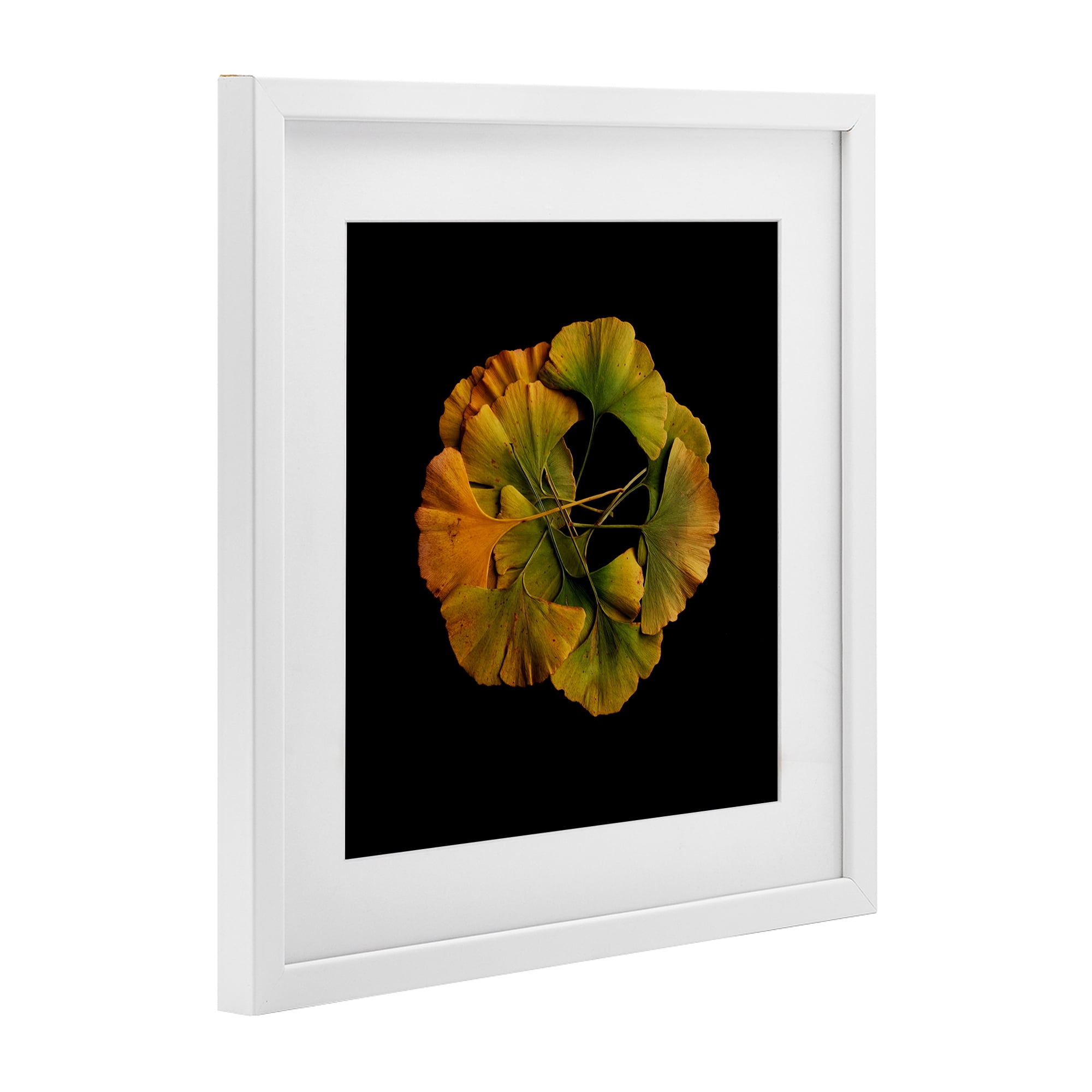 Stupell Industries Overlapping Ginkgo Leaves White Framed Print Under Glass, design by Beth Adoette